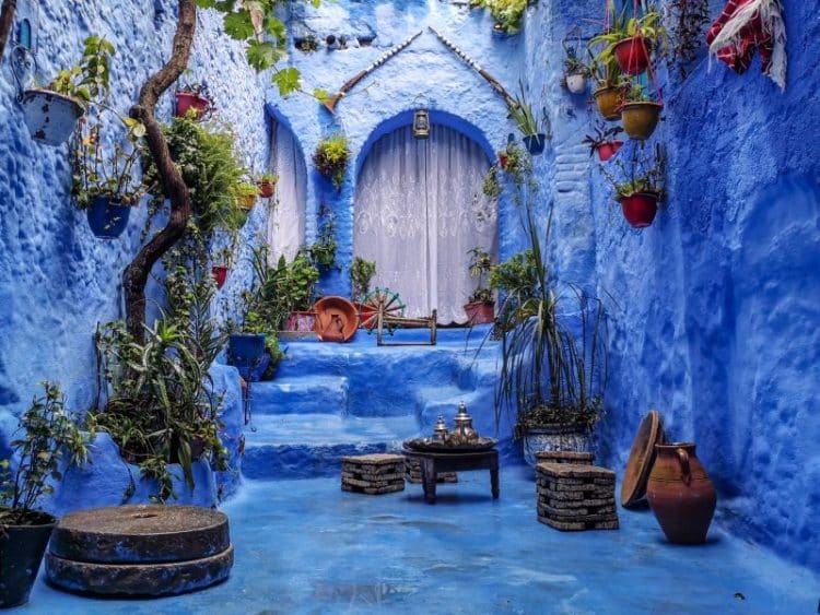 Delight Morocco travel website case study