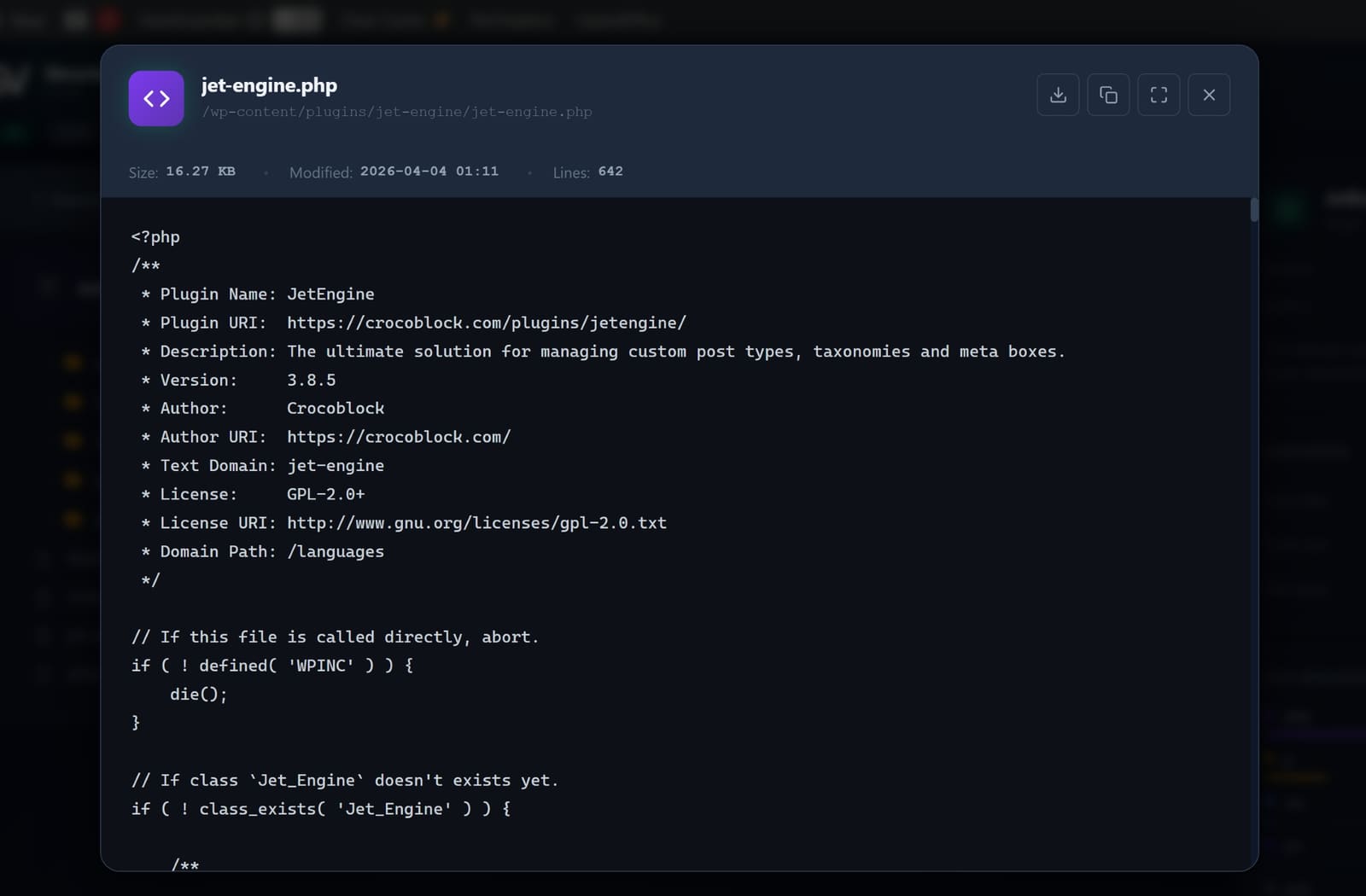 File viewer modal — source code with syntax highlighting and download